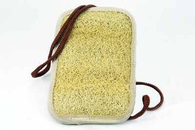 Modern Aktar - ORTA KARE KABAK LİFİ