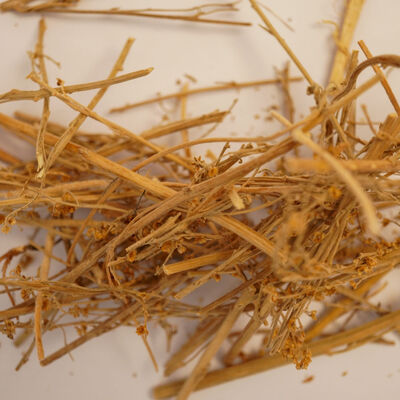 PELİN OTU  40 GR - 2