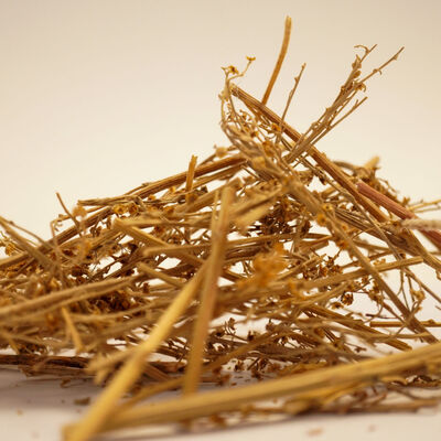 PELİN OTU  40 GR - 3