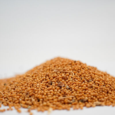 SARI HARDAL TANE 200 GR - 3