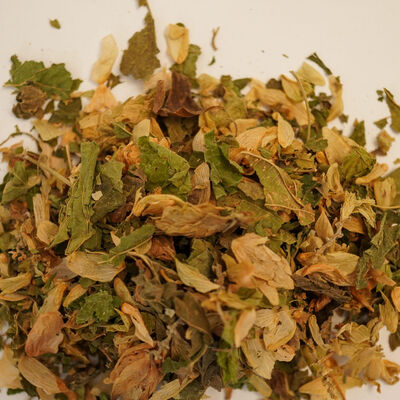 ŞERBETÇİ OTU 40 GR - 2