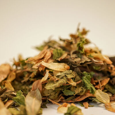 ŞERBETÇİ OTU 40 GR - 3