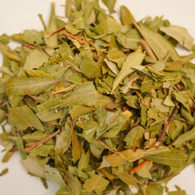 SÖĞÜT YAPRAĞI 60 GR - 2