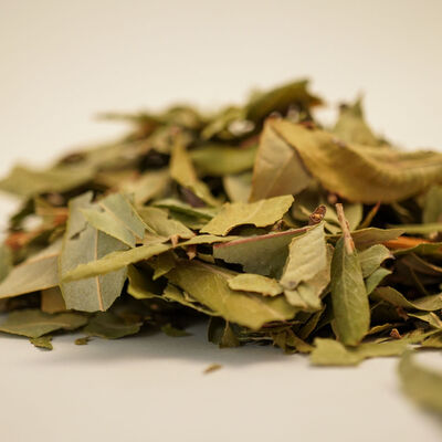 SÖĞÜT YAPRAĞI 60 GR - 3