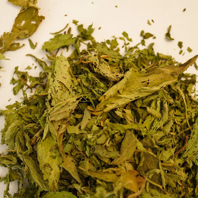 STEVİA YAPRAĞI (Şeker Otu) 50 GR - 2