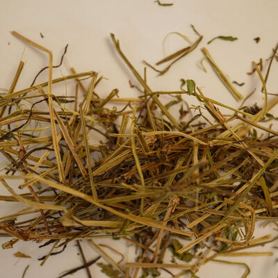 YOĞURT OTU 45 GR - 2