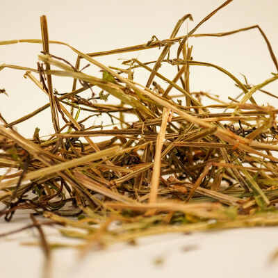 YOĞURT OTU 45 GR - 3