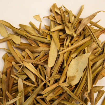 ZEYTİN YAPRAĞI  60 GR - 2
